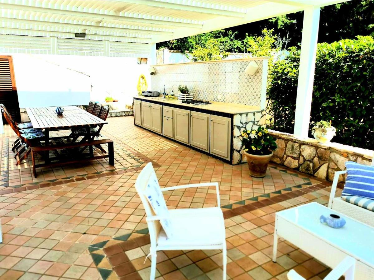 Villa Hibiscus Castellammare del Golfo Kültér fotó